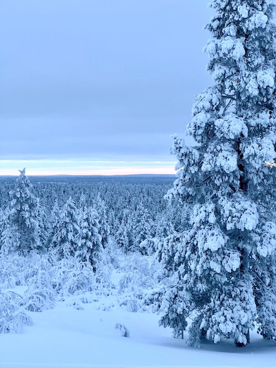 Scenery from Kiilopää hill